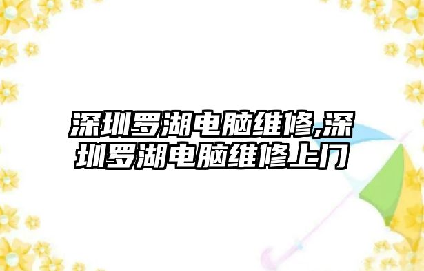 深圳羅湖電腦維修,深圳羅湖電腦維修上門