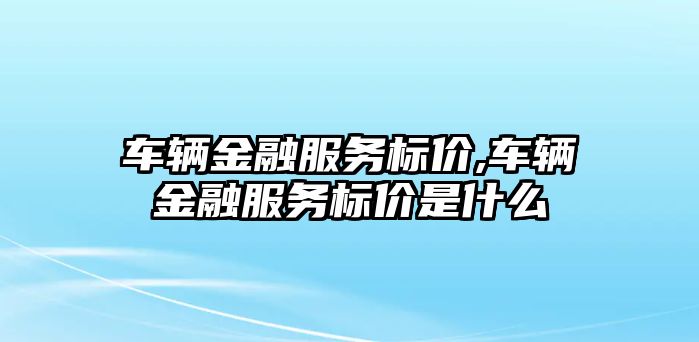 車輛金融服務(wù)標價,車輛金融服務(wù)標價是什么