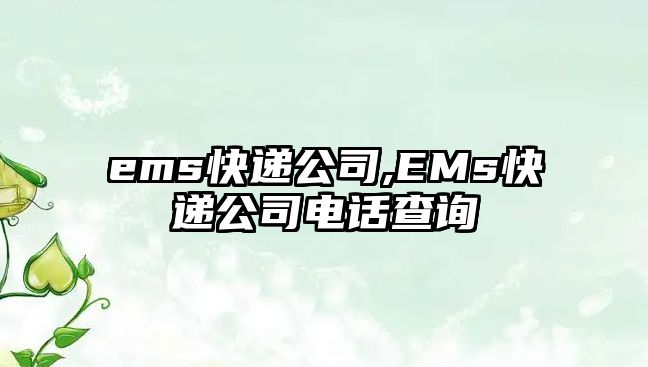 ems快遞公司,EMs快遞公司電話查詢