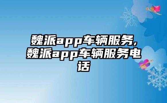 魏派app車輛服務(wù),魏派app車輛服務(wù)電話