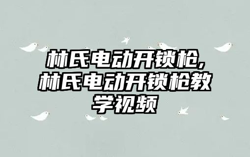 林氏電動開鎖槍,林氏電動開鎖槍教學視頻