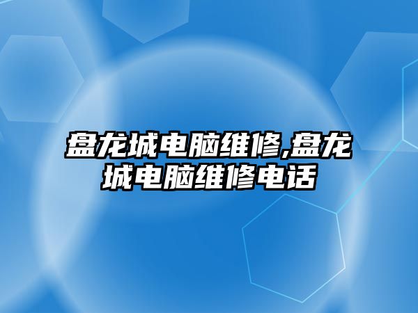 盤龍城電腦維修,盤龍城電腦維修電話