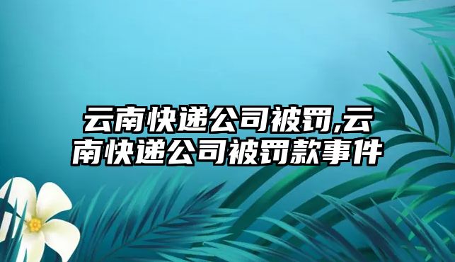 云南快遞公司被罰,云南快遞公司被罰款事件