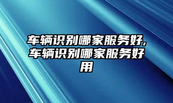 車輛識別哪家服務好,車輛識別哪家服務好用