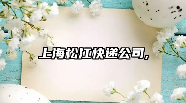 上海松江快遞公司,