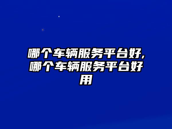 哪個車輛服務平臺好,哪個車輛服務平臺好用