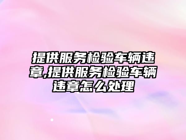 提供服務檢驗車輛違章,提供服務檢驗車輛違章怎么處理