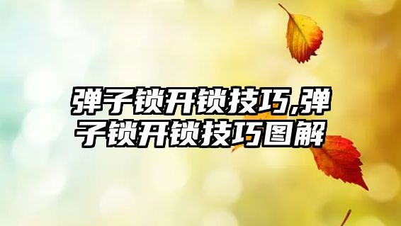 彈子鎖開鎖技巧,彈子鎖開鎖技巧圖解