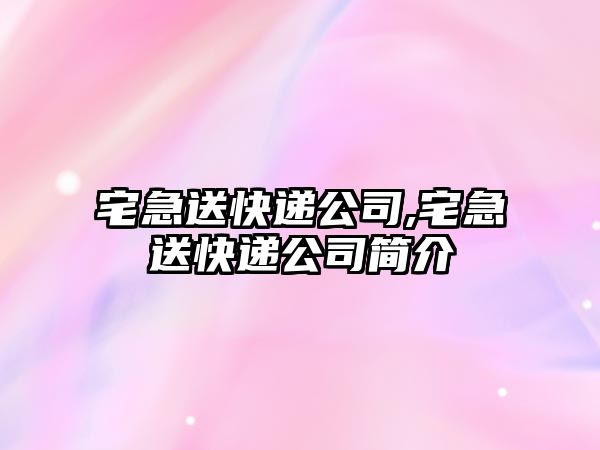 宅急送快遞公司,宅急送快遞公司簡介