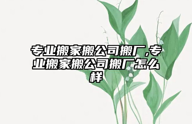 專業(yè)搬家搬公司搬廠,專業(yè)搬家搬公司搬廠怎么樣