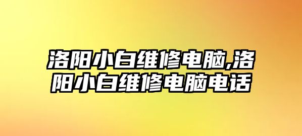 洛陽小白維修電腦,洛陽小白維修電腦電話