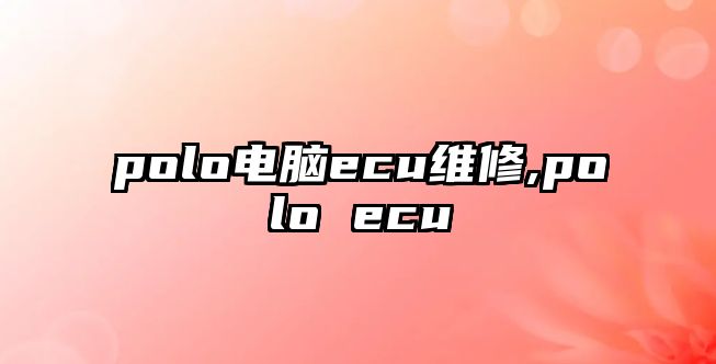 polo電腦ecu維修,polo ecu