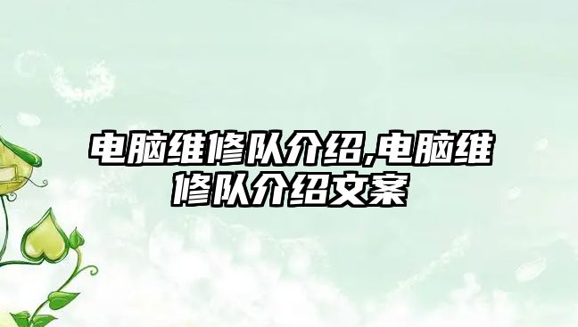 電腦維修隊(duì)介紹,電腦維修隊(duì)介紹文案