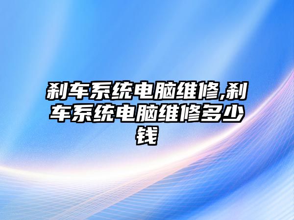 剎車系統(tǒng)電腦維修,剎車系統(tǒng)電腦維修多少錢