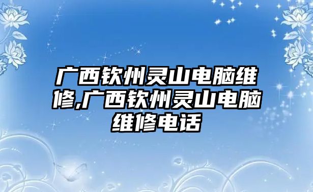 廣西欽州靈山電腦維修,廣西欽州靈山電腦維修電話