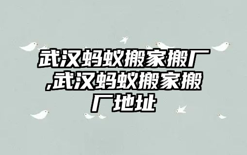 武漢螞蟻搬家搬廠,武漢螞蟻搬家搬廠地址