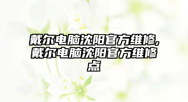 戴爾電腦沈陽官方維修,戴爾電腦沈陽官方維修點