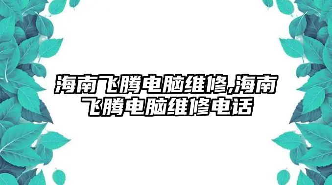 海南飛騰電腦維修,海南飛騰電腦維修電話