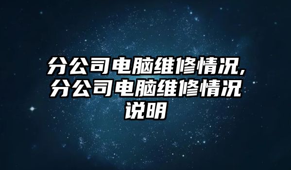 分公司電腦維修情況,分公司電腦維修情況說明