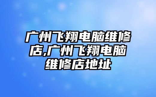 廣州飛翔電腦維修店,廣州飛翔電腦維修店地址