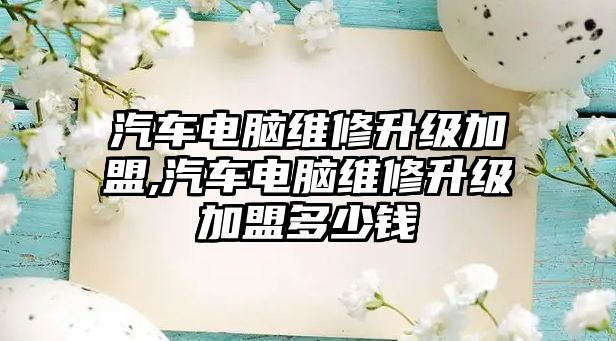 汽車電腦維修升級(jí)加盟,汽車電腦維修升級(jí)加盟多少錢