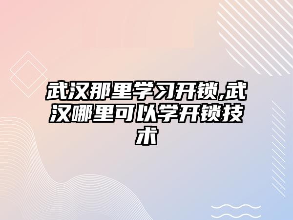 武漢那里學習開鎖,武漢哪里可以學開鎖技術