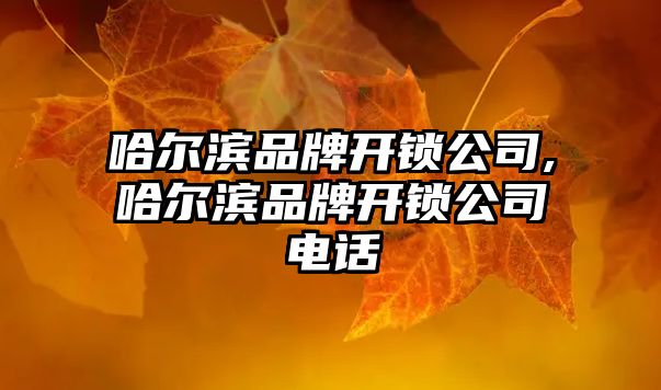 哈爾濱品牌開鎖公司,哈爾濱品牌開鎖公司電話