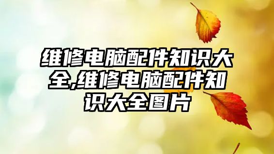 維修電腦配件知識大全,維修電腦配件知識大全圖片