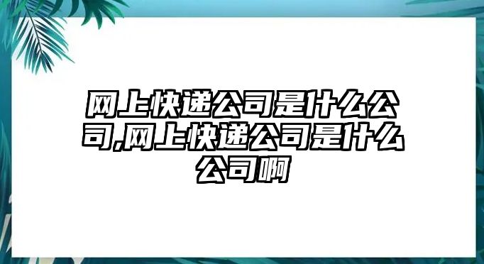 網(wǎng)上快遞公司是什么公司,網(wǎng)上快遞公司是什么公司啊