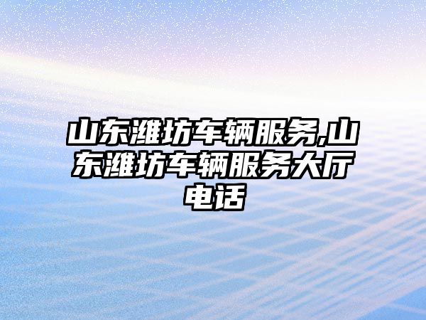 山東濰坊車輛服務,山東濰坊車輛服務大廳電話