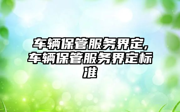 車輛保管服務界定,車輛保管服務界定標準