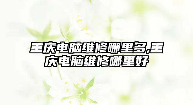 重慶電腦維修哪里多,重慶電腦維修哪里好