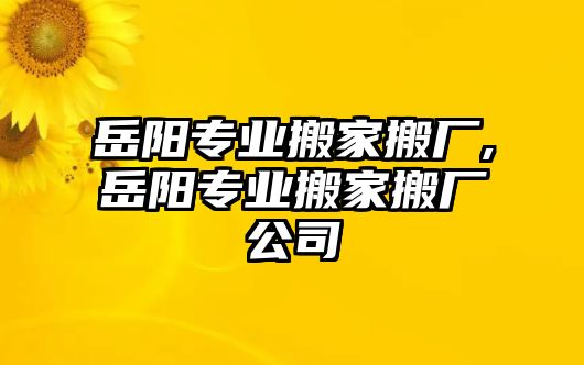 岳陽專業搬家搬廠,岳陽專業搬家搬廠公司