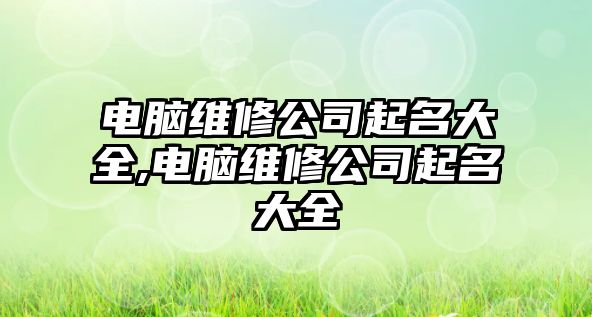 電腦維修公司起名大全,電腦維修公司起名大全