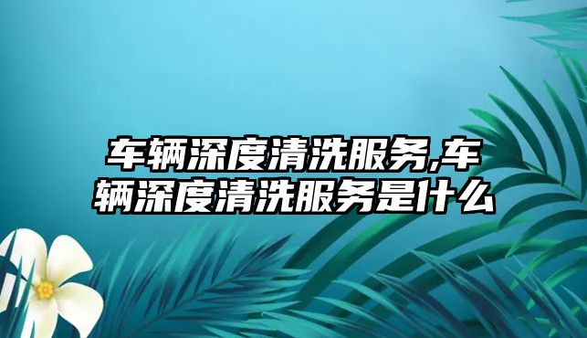 車輛深度清洗服務,車輛深度清洗服務是什么