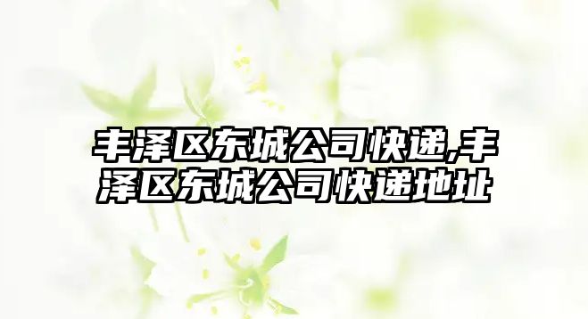 豐澤區東城公司快遞,豐澤區東城公司快遞地址