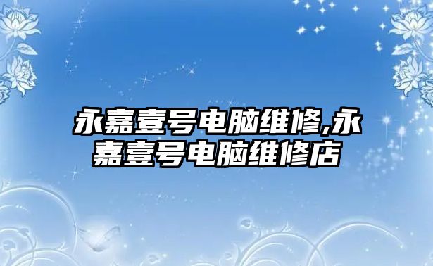 永嘉壹號(hào)電腦維修,永嘉壹號(hào)電腦維修店