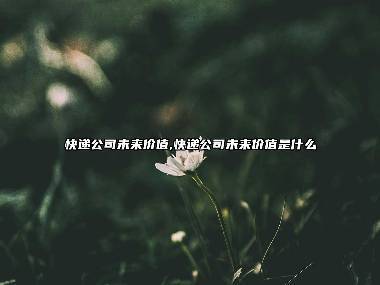 快遞公司未來價值,快遞公司未來價值是什么