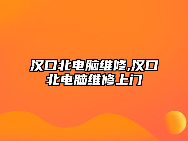 漢口北電腦維修,漢口北電腦維修上門