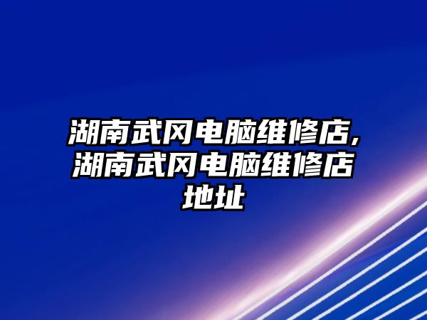 湖南武岡電腦維修店,湖南武岡電腦維修店地址